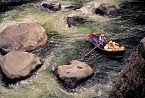 McKenzie River Boat